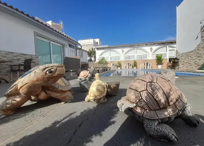 Lejlighed Tenerife Little Village *