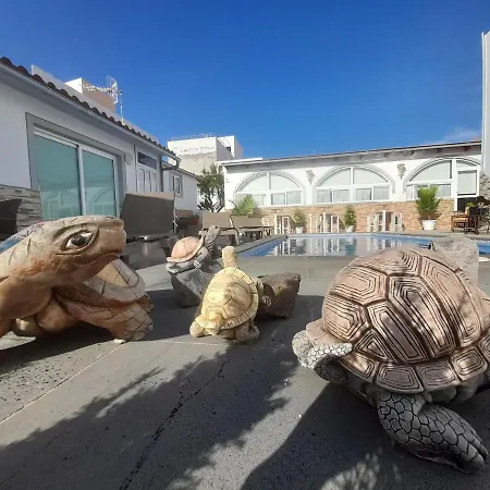 דירה Tenerife Little Village *